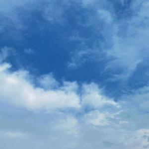 gay片浪小辉国产
